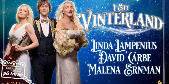 I Ett Vinterland